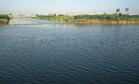 國(guó)家新能源工程技術(shù)研究中心領(lǐng)導(dǎo)參觀我公司項(xiàng)目基地