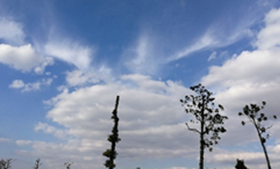 協(xié)同超凈化護(hù)航中國(guó)國(guó)際進(jìn)口博覽會(huì)