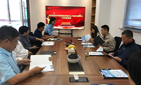 水利部原副總工程師龐進(jìn)武等一行來我司考察