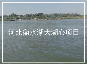 河北衡水湖大湖心水質(zhì)提升（湖泊）