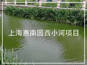 上海-園西小河（半封閉河道）