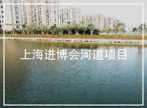 首屆國際進口博覽會河道項目